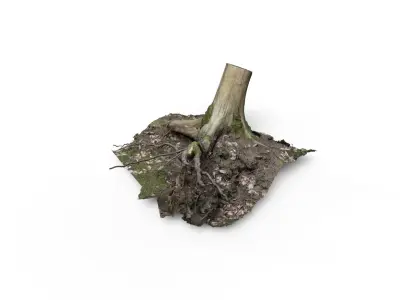 Forest Tree Stump 4K -Part 6- Free low-poly 3D model