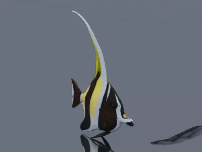 Banded Butterflyfish Low-poly 3D model