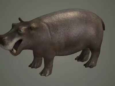 hippopotamus african animal mammal wild hipopotamo 3D model