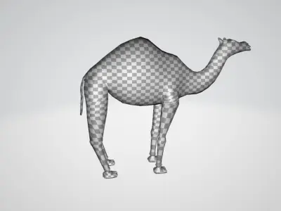 Camel Low-poly 3D model