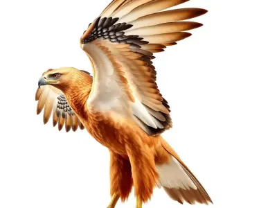 Majestic Golden Eagle model pack Low-poly 3D model