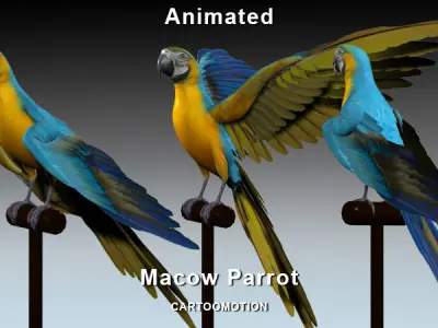Blue Macaw Parrot Low-poly 3D model
