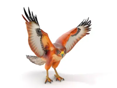 Eagle Model Pack  Realistic Bird D Model for Animation and Games Low-poly 3D model