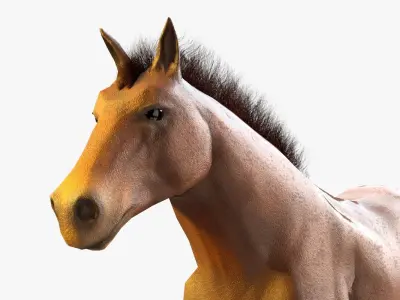 Horse Textured Low-poly 3D model