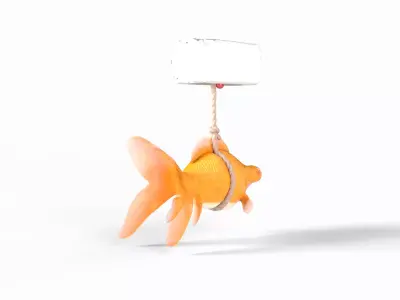 Orange gold fish bladder issue Low-poly 3D model