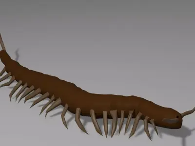 Centipede Obj plus Blender 3D model