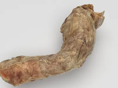 Chicken Neck 3D model