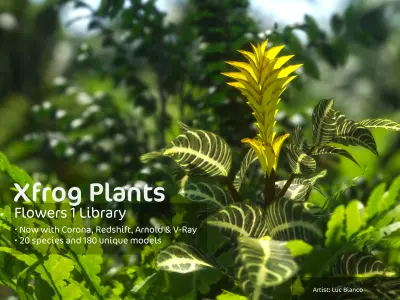 2020 XfrogPlants Flowers 1 Library  3D model