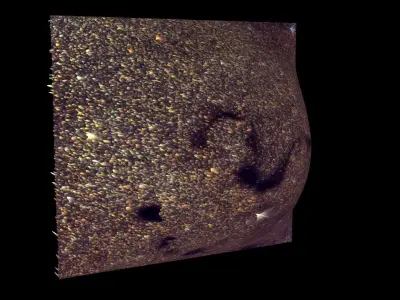 Snake Nebula 3D model