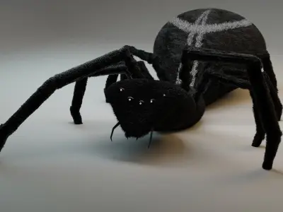 Spider 3D model
