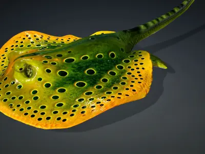 Ray Fish-A2 3D model