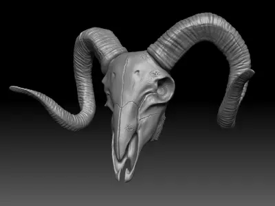 Goat Skull 3D model