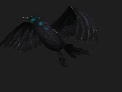 Raven A2 3D model