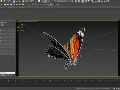 butterfly antenna wing insect fly wildlife summer sky 3D model