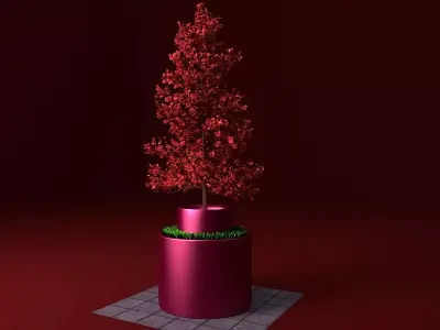 Potted young red leaved tree 1 Free 3D model