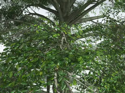 EVERYPlant Idiot Fruit Tree LowPoly Low-poly 3D model