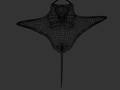 Manta Ray 3D Model- Fully rigged - Animated - Dynamic teal-time Low-poly 3D model