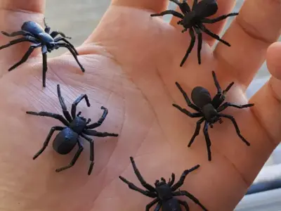 Spider Halloween Prop STL Free 3D print model