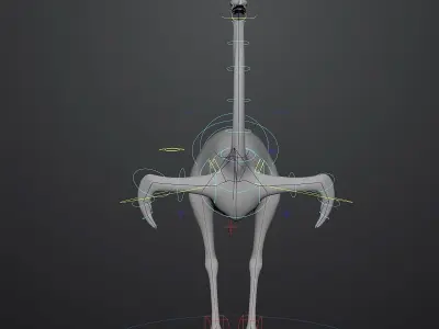 3D model of Ostrich including animation RIG 3D model
