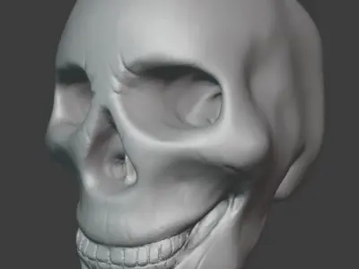 Human skull 3d blender model Free 3D model