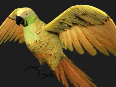 Parrot A7 3D model