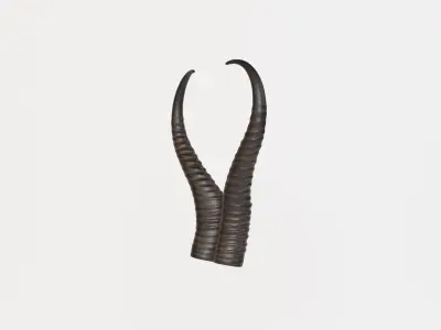 Horn V3 3D model