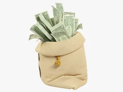 Money Bag V20 3D model
