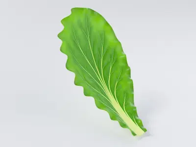Cartoon Lettuce 3D model