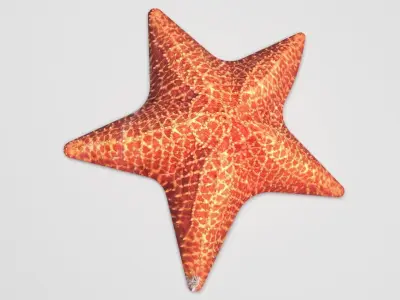 Starfish 3D model