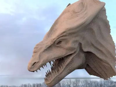 Croc head rough base 3D model