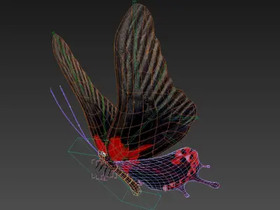 butterfly scalewing wing fly 3D model