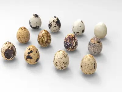 Bird Eggs Free low-poly 3D model