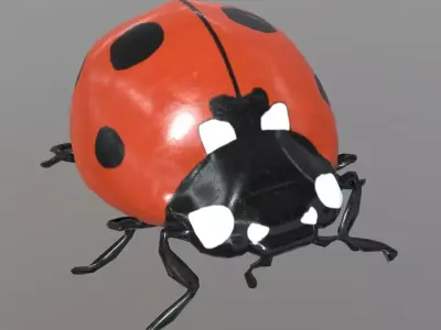Ladybug plastic Free low-poly 3D model