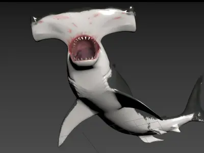 Hammerhead Shark 8K- 3d animated 3D model