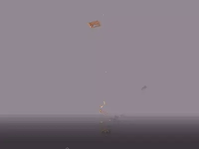 Wood Debris Fall 01 Low-poly 3D model