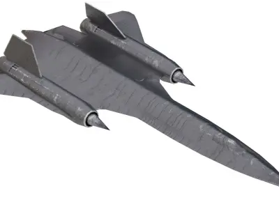 4K Lowpoly Blackbird in Maya Arnold Material Low-poly 3D model