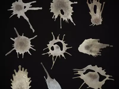 Bird Poop Pack Low-poly 3D model