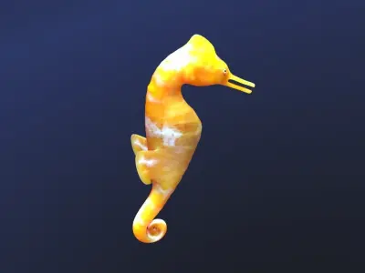 sea creature collection 3D model