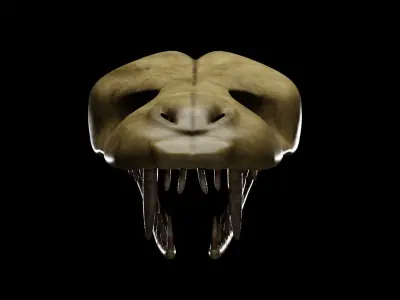 SNEAK SKULL Low-poly 3D model