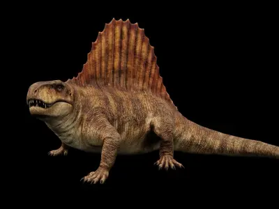 Dimetrodon - Prehistoric Synapsid Low-poly 3D model