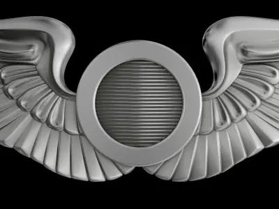 USAAF  Aircraft Observer Wings Badge 3D model