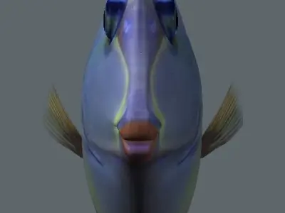 Naso Tang Marine Fish 3D model