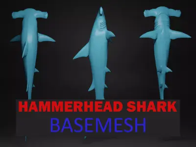 hammerhead shark base mesh obj 3D model