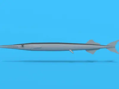 Low Poly Cartoon Garfish Low-poly 3D model