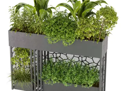 Collection plant vol 241 Free 3D model