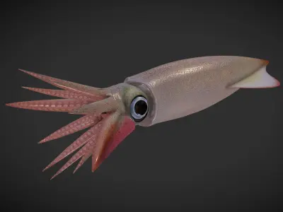 Cuttle squid with long tentacles Low-poly 3D model