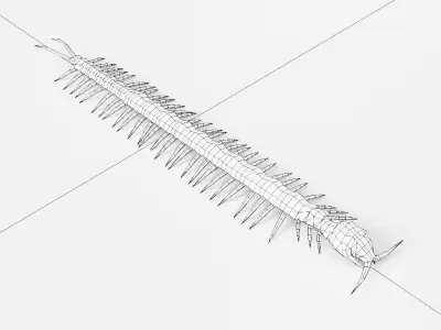 Centipede low poly 3d model Low-poly 3D model