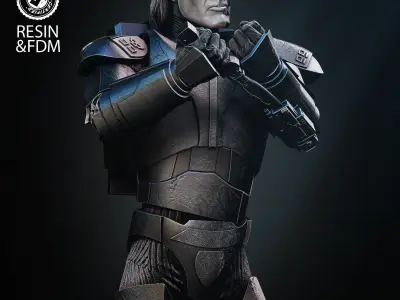 STAR WARS Hunter Bust Tested for 3D Printing 3D print model