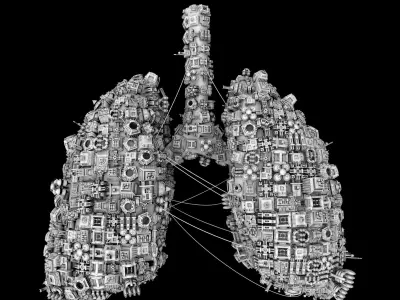 Human Lungs shaped Spaceship Low-poly 3D model