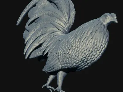 3D Print Rooster 3D model